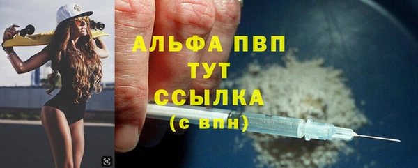 стафф Козельск