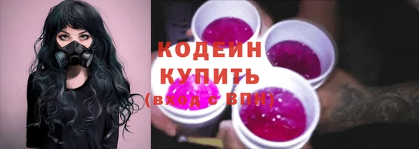 гашик Кодинск