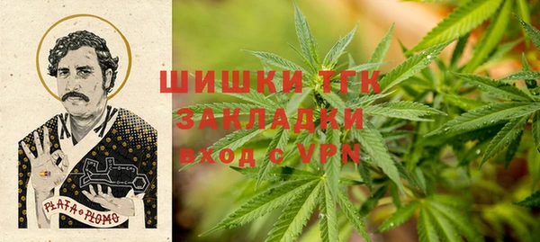 гашик Кодинск