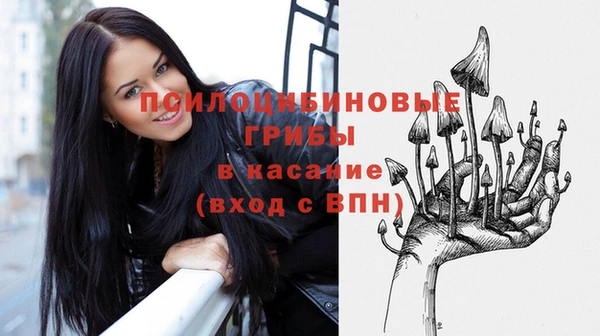 стафф Козельск