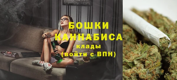 гашик Кодинск