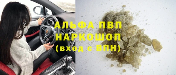 стафф Козельск