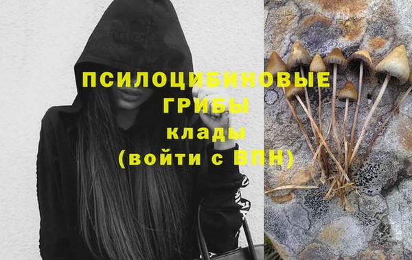 стафф Козельск