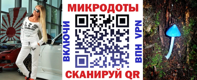 Псилоцибиновые грибы Psilocybine cubensis Ковдор